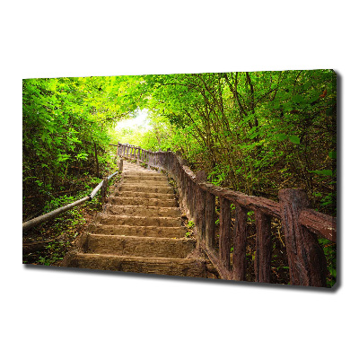 Canvas wall art Stairs in the forest