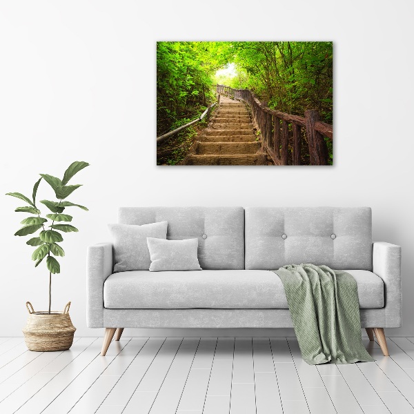 Canvas wall art Stairs in the forest