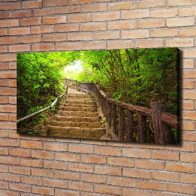 Canvas wall art Stairs in the forest