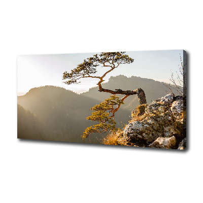 Canvas wall art Sokolica Pieniny