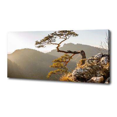 Canvas wall art Sokolica Pieniny