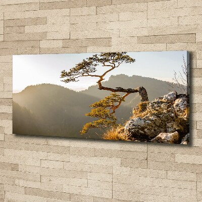 Canvas wall art Sokolica Pieniny