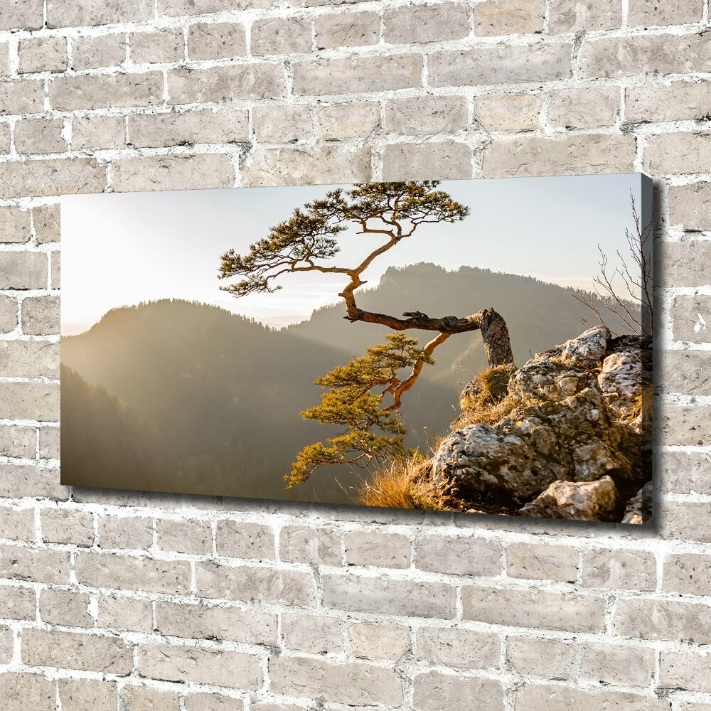 Canvas wall art Sokolica Pieniny