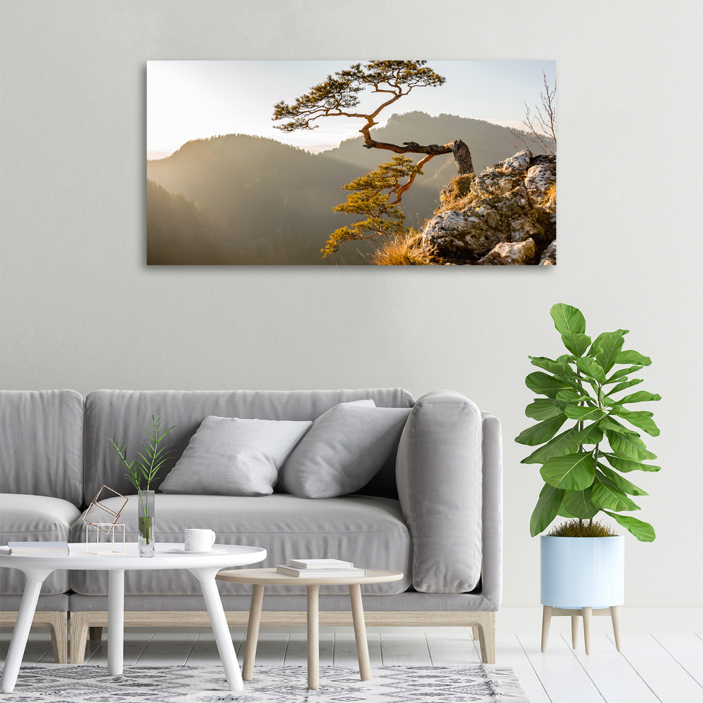 Canvas wall art Sokolica Pieniny