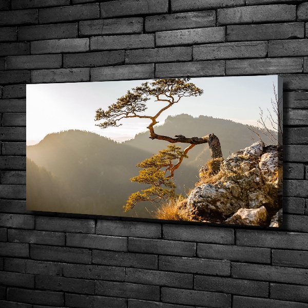 Canvas wall art Sokolica Pieniny