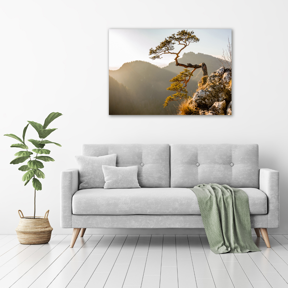 Canvas wall art Sokolica Pieniny