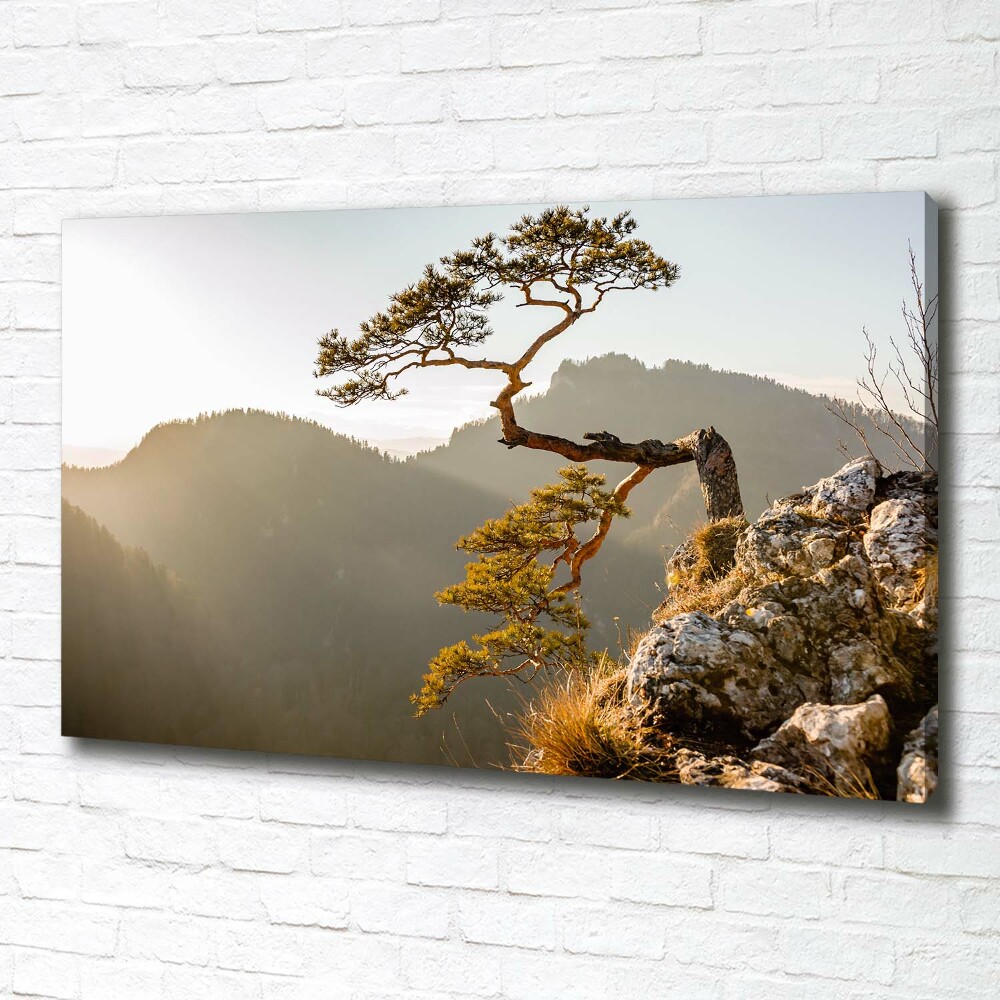 Canvas wall art Sokolica Pieniny