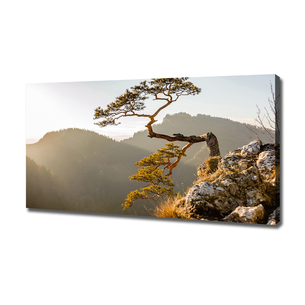 Canvas wall art Sokolica Pieniny