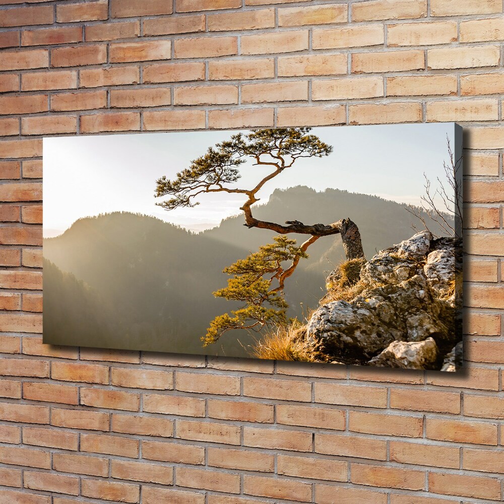 Canvas wall art Sokolica Pieniny