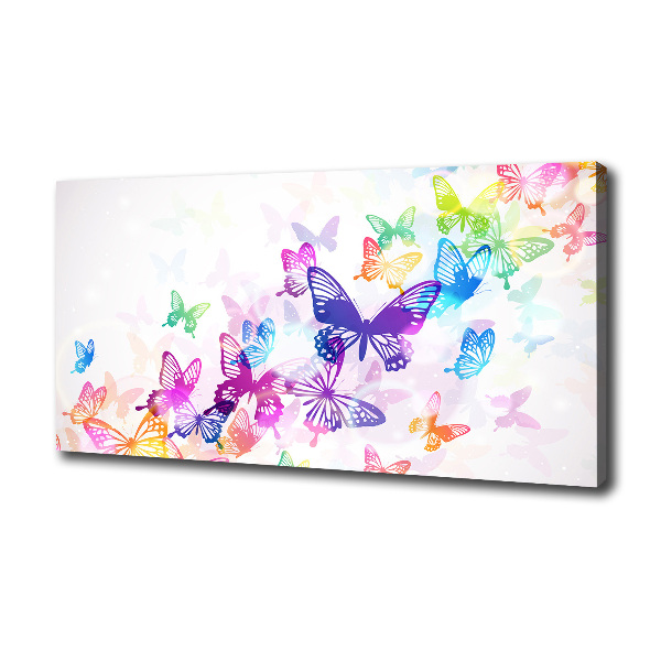 Large canvas wall art Colorful butterflies