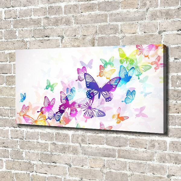 Large canvas wall art Colorful butterflies