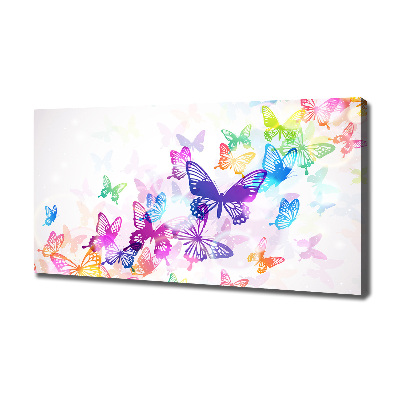 Large canvas wall art Colorful butterflies