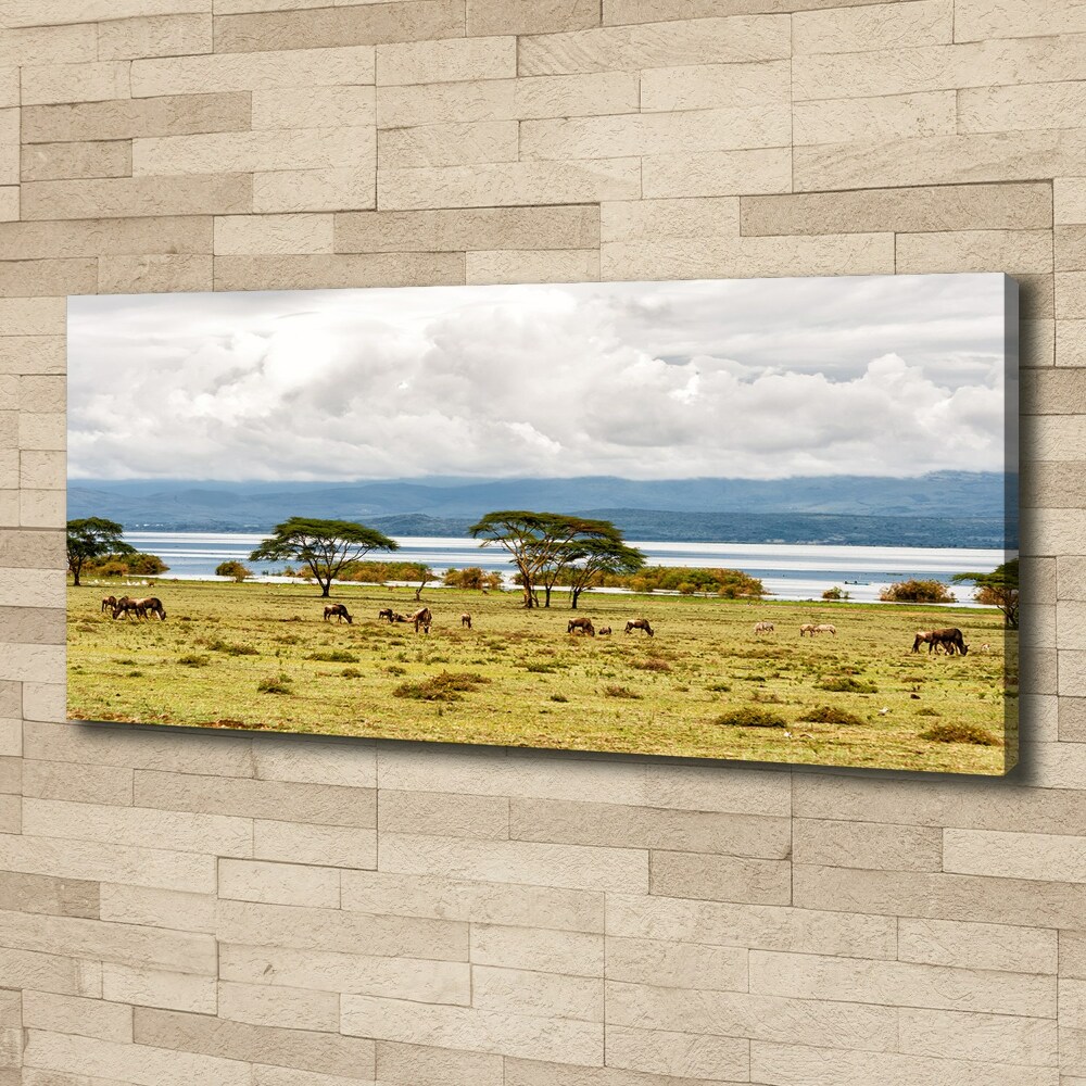 Canvas wall art Naivasha Lake