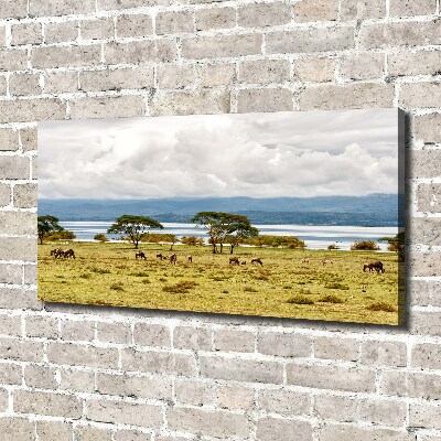 Canvas wall art Naivasha Lake