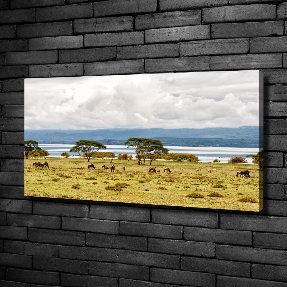 Canvas wall art Naivasha Lake