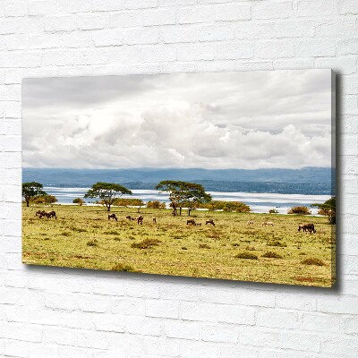 Canvas wall art Naivasha Lake