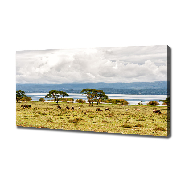 Canvas wall art Naivasha Lake