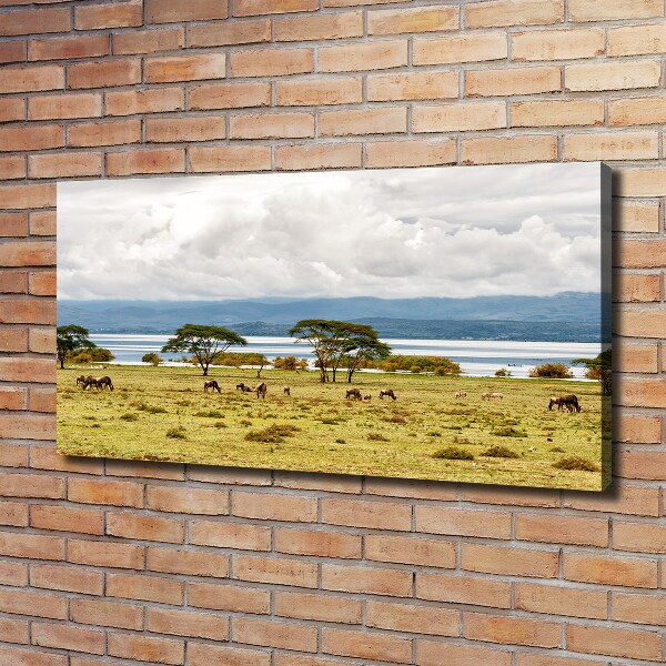 Canvas wall art Naivasha Lake