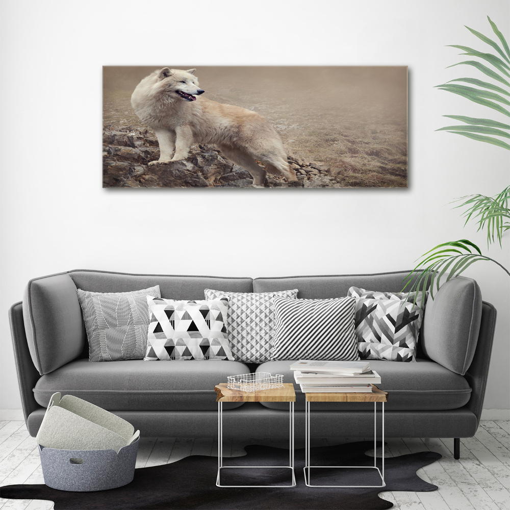 Large canvas wall art White wolf on the rock