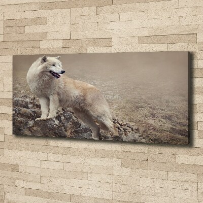 Large canvas wall art White wolf on the rock