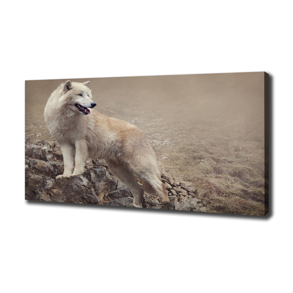 Large canvas wall art White wolf on the rock