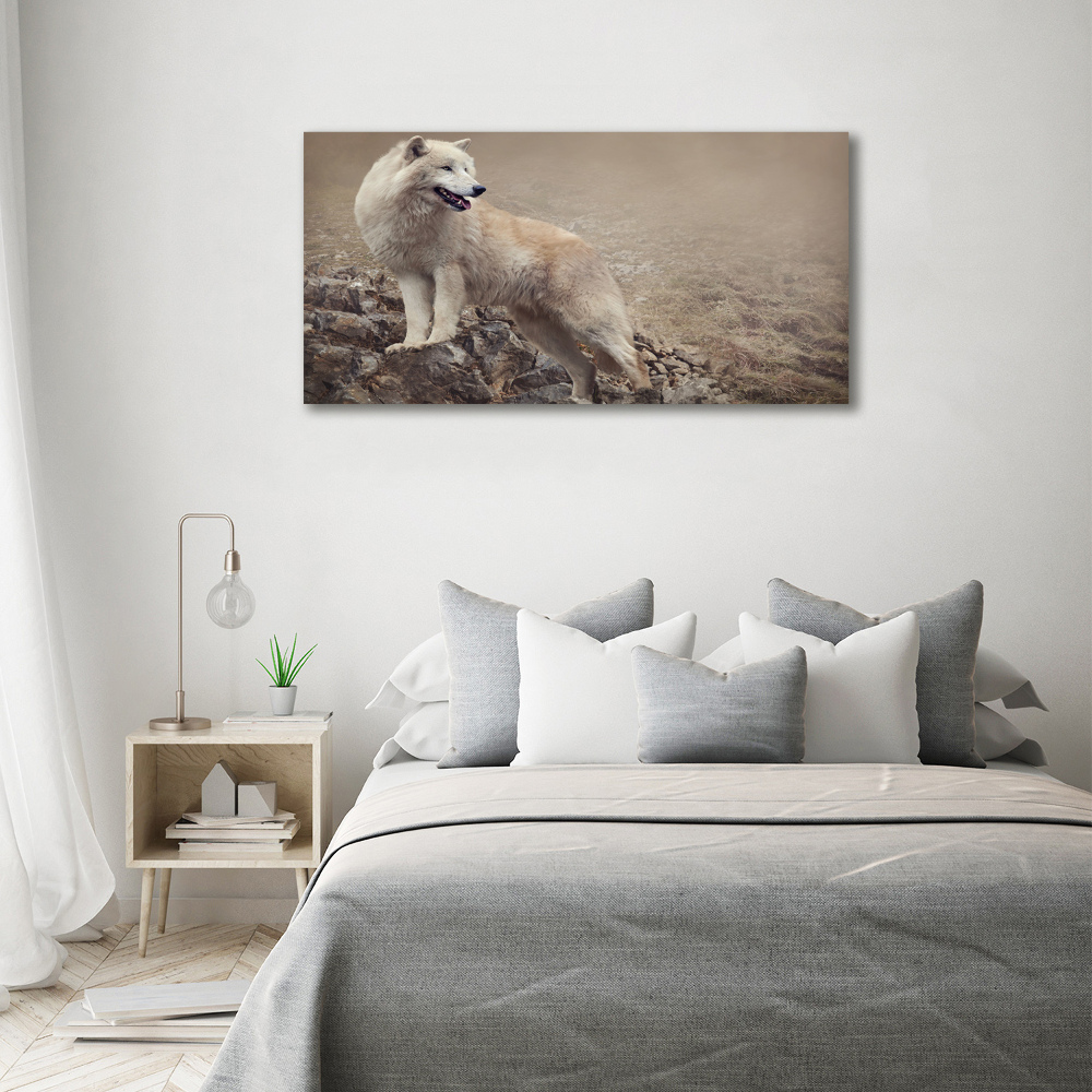 Large canvas wall art White wolf on the rock