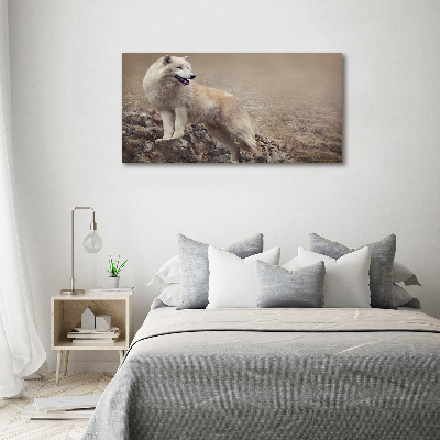 Large canvas wall art White wolf on the rock