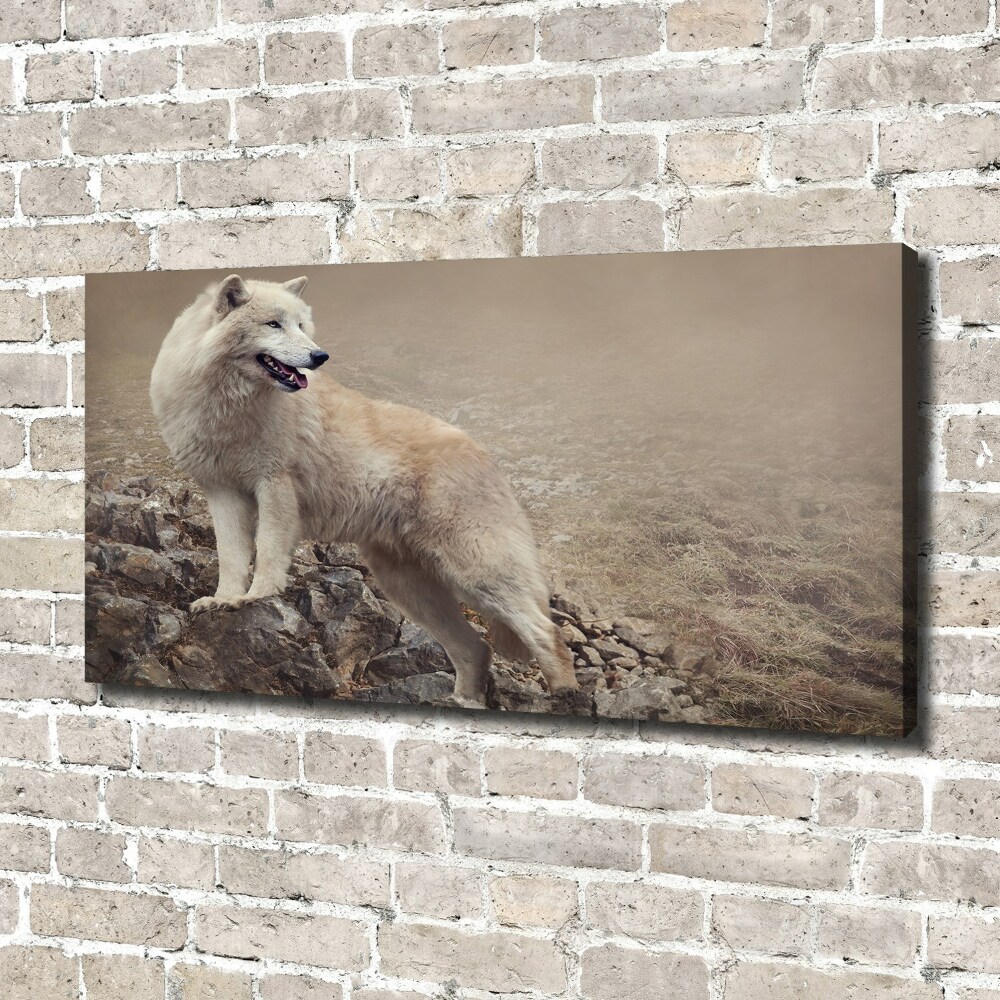 Large canvas wall art White wolf on the rock