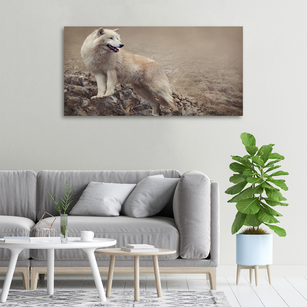 Large canvas wall art White wolf on the rock