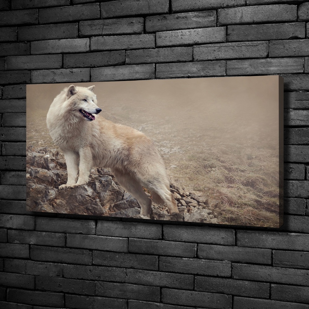 Large canvas wall art White wolf on the rock