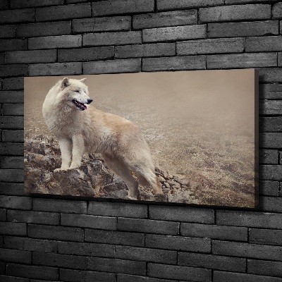 Large canvas wall art White wolf on the rock