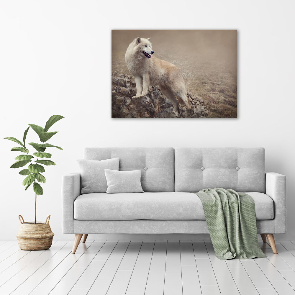 Large canvas wall art White wolf on the rock