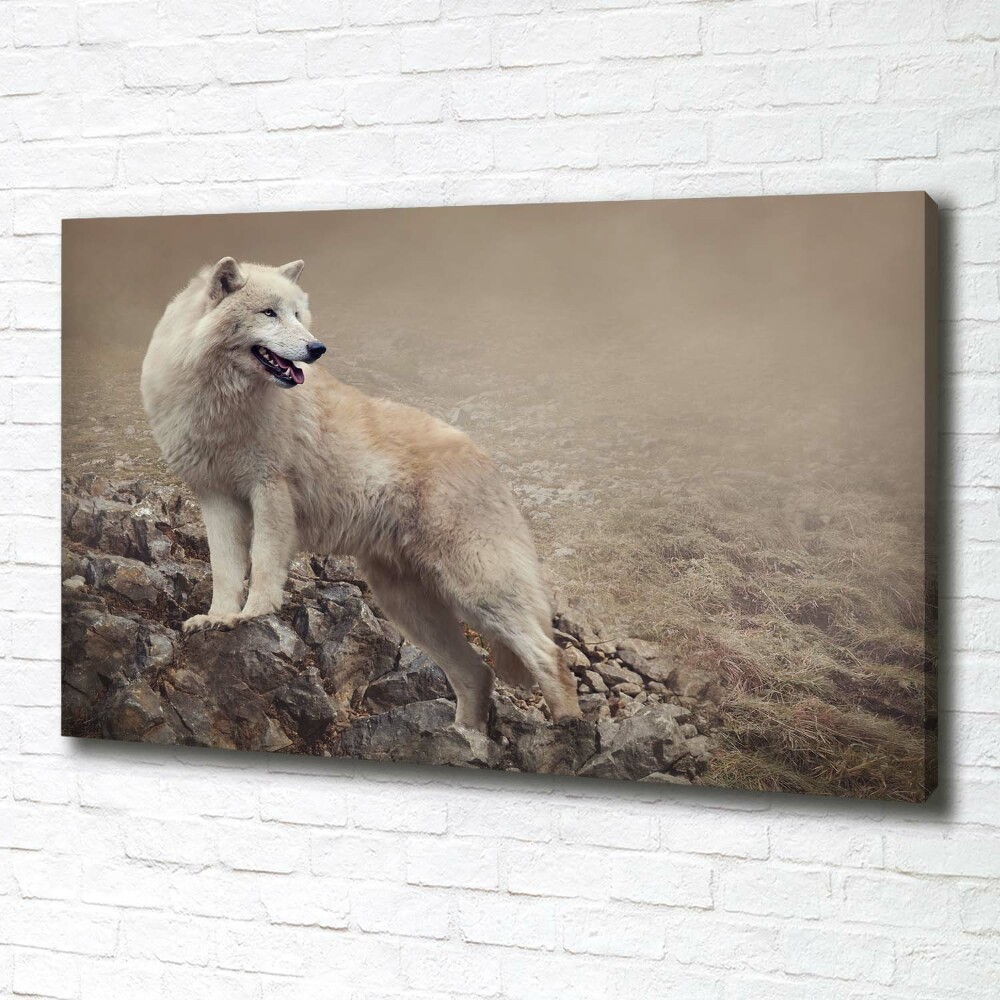 Large canvas wall art White wolf on the rock