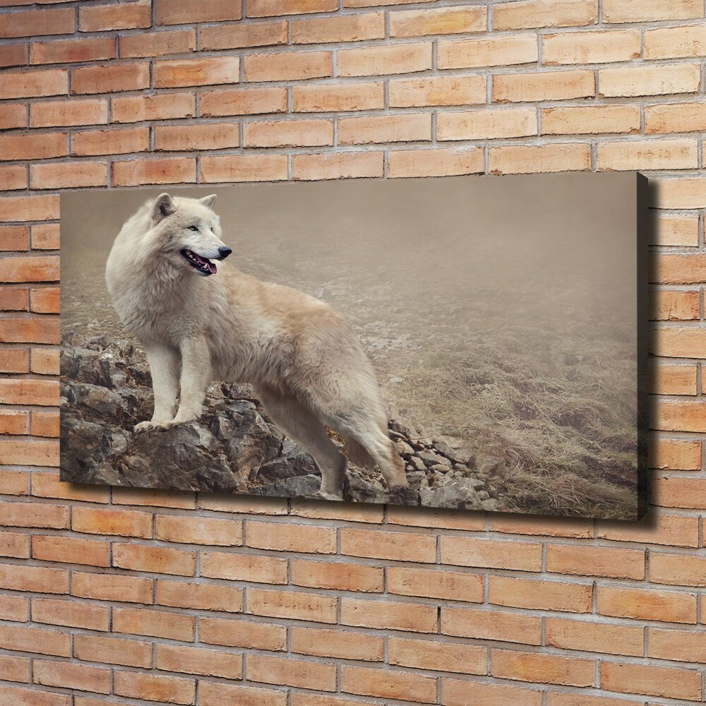 Large canvas wall art White wolf on the rock