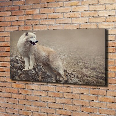 Large canvas wall art White wolf on the rock