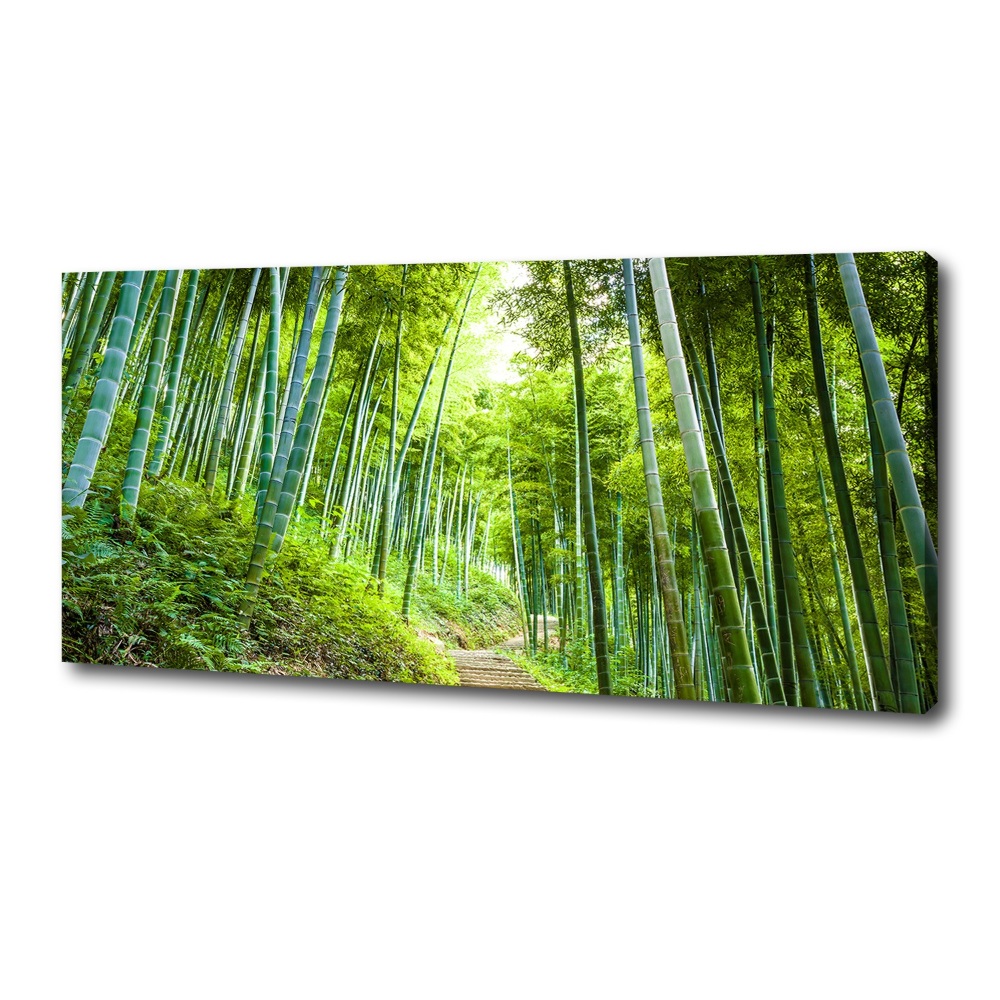 Canvas wall art Bamboo forest