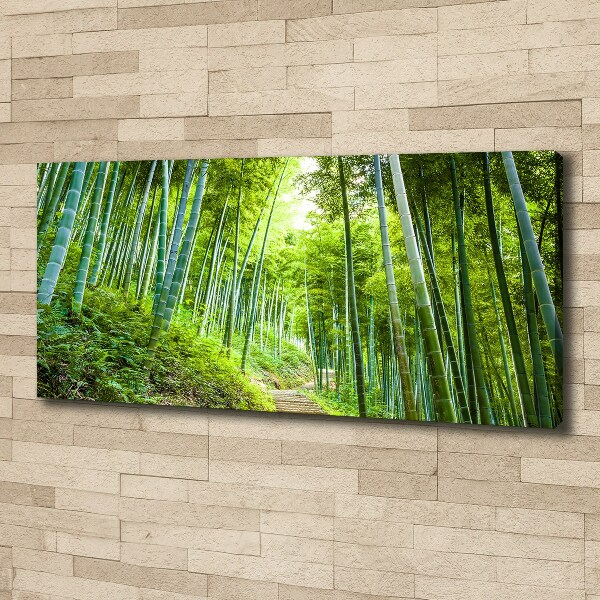 Canvas wall art Bamboo forest