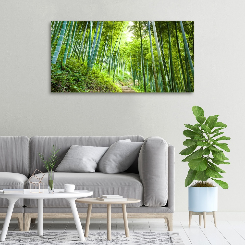 Canvas wall art Bamboo forest