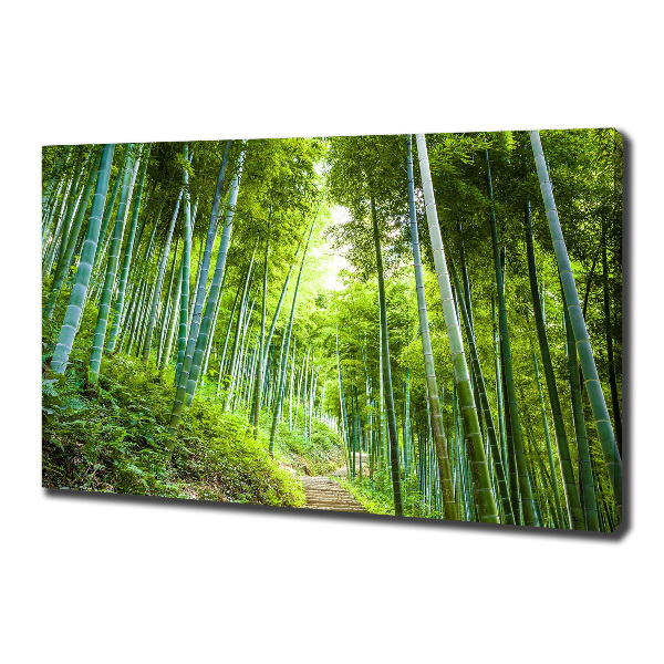 Canvas wall art Bamboo forest