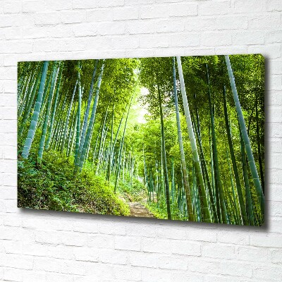 Canvas wall art Bamboo forest