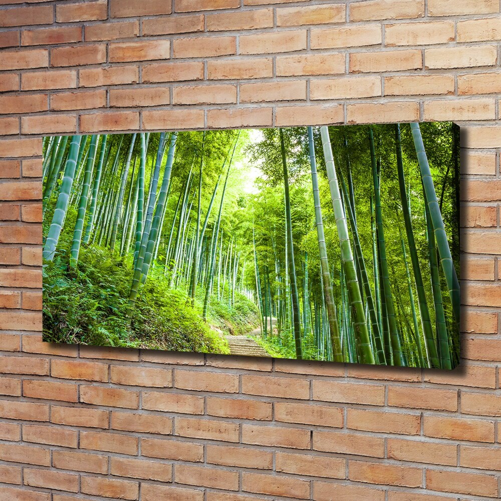 Canvas wall art Bamboo forest