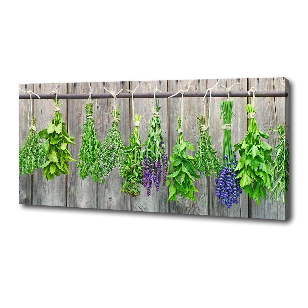 Canvas wall art Herbs on a string