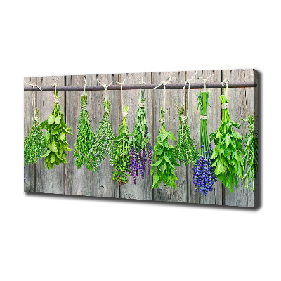 Canvas wall art Herbs on a string