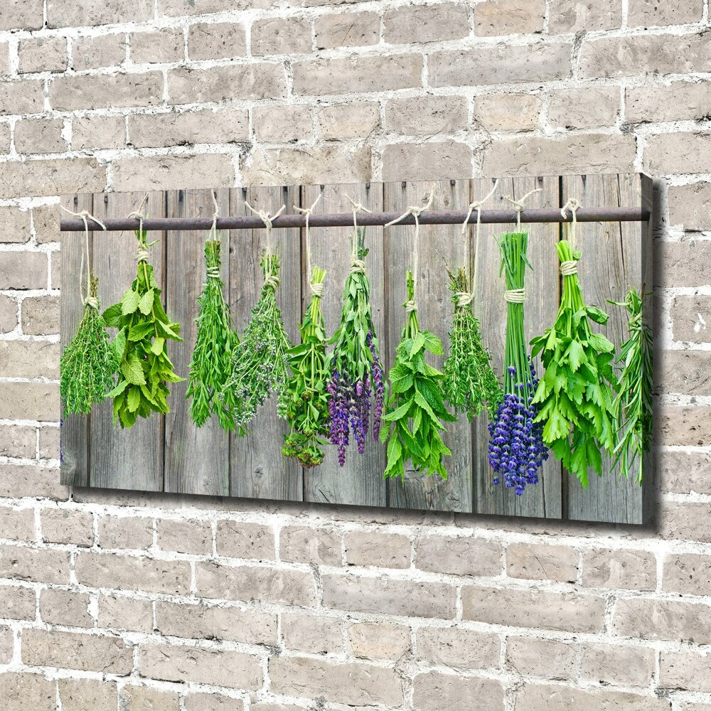 Canvas wall art Herbs on a string