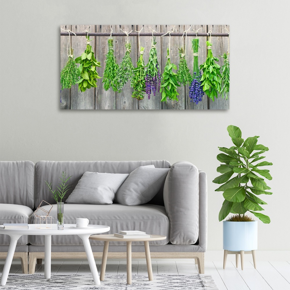 Canvas wall art Herbs on a string