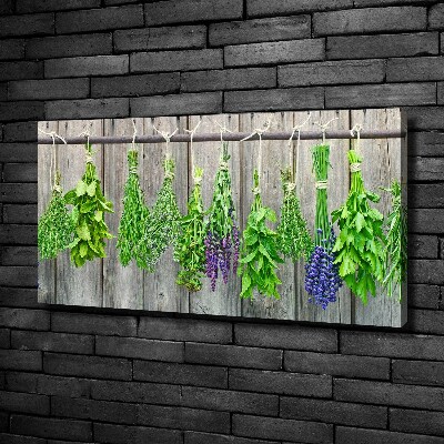 Canvas wall art Herbs on a string