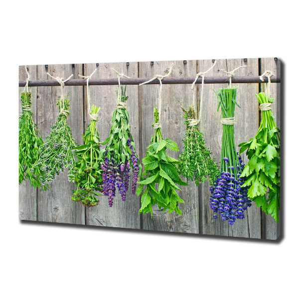 Canvas wall art Herbs on a string