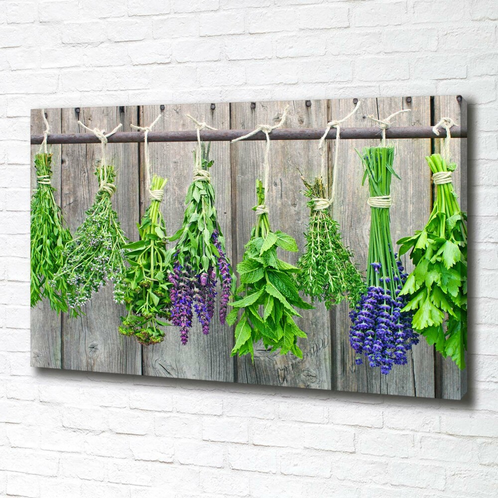 Canvas wall art Herbs on a string