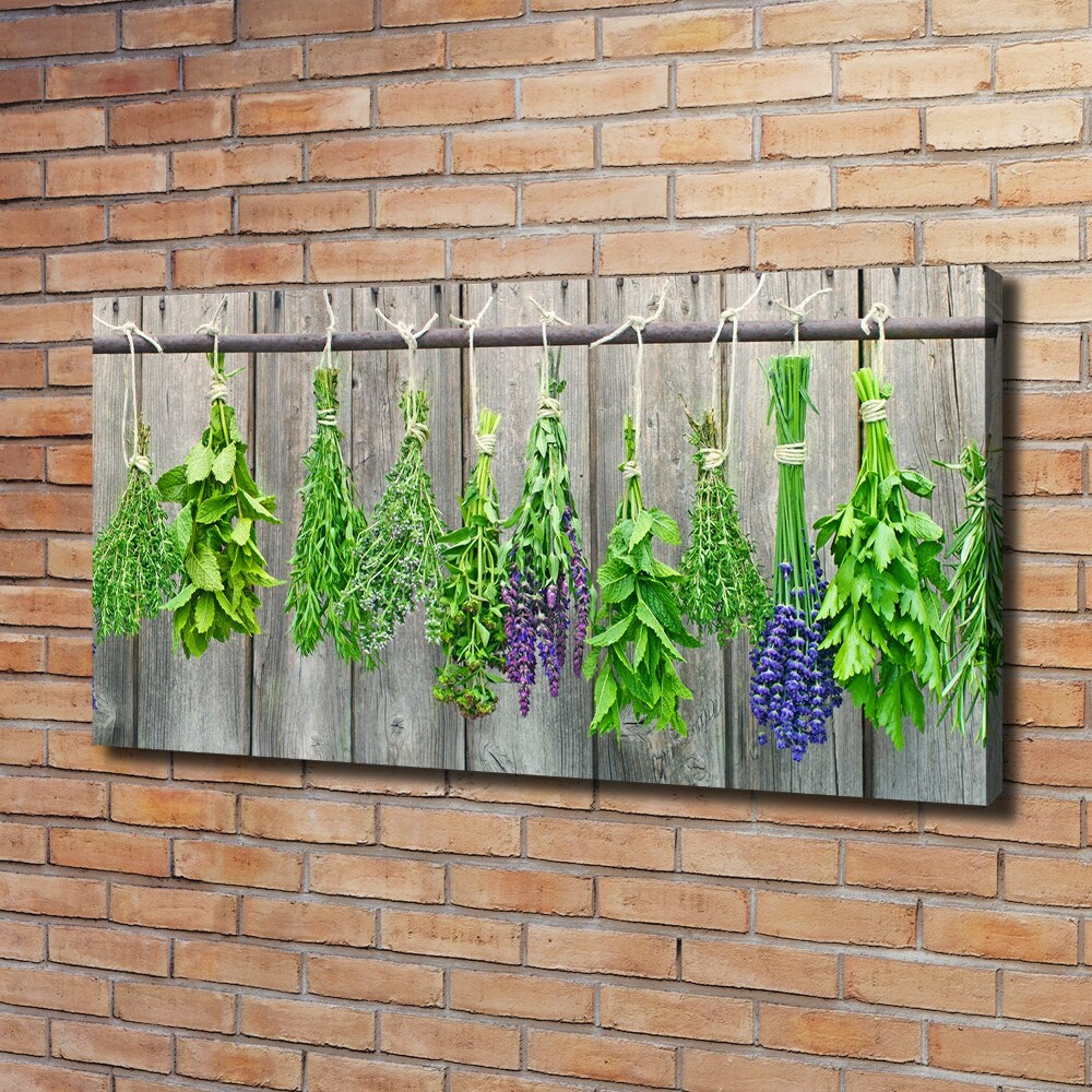 Canvas wall art Herbs on a string