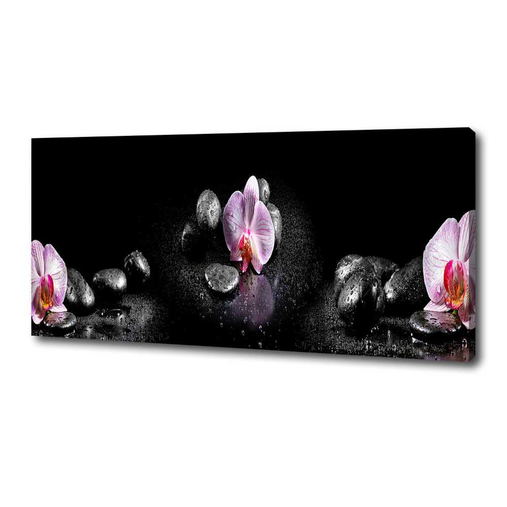 Canvas wall art Orchid